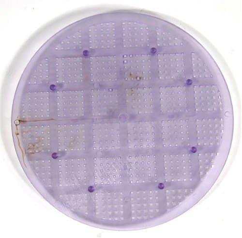 Inland Seas Nu-Clear Canister Filter Replacement Full Flow Grid