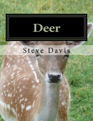 Deer: Adult Coloring Book