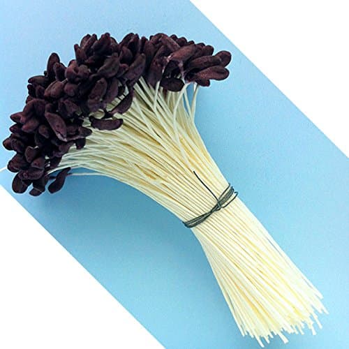 Medium Lily & Peony Flower Stamens (Brown)