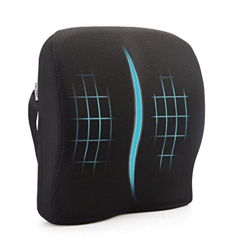 EPMIC Back Cushions Support Memory Foam with 3D Mesh Cover Lumbar Support Pillow for Lower Back Pain Office and Home Chair Pads Comfortable Seat Cushion,Black Color