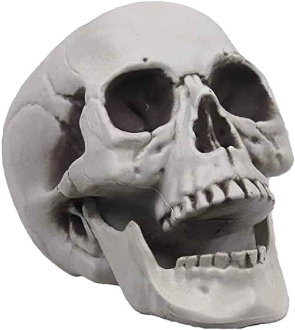 GGEROU Life Size Human Skull for Halloween Decoration,Simulation Plastic Skull Sculpture Skull Lifesize Skeleton Skull for Bar Party Home Halloween Decor Haunted House Bar Prop (Adult (Large)/ 1pcs)
