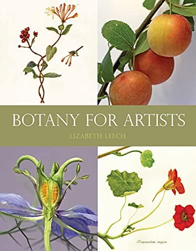 Botany for Artists Paperback – 30 Nov. 2011