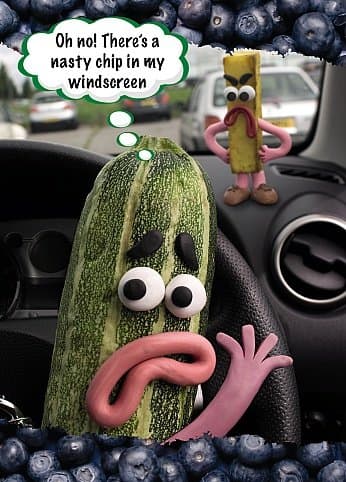 Chip on Windscreen - Greetings Card Blank Inside