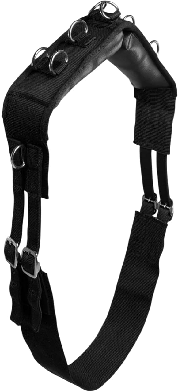 HORZE Lunging Surcingle for Horses | Nylon Roller for Training