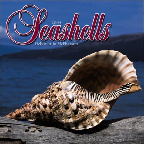 Seashells Wall Calendar: 2004