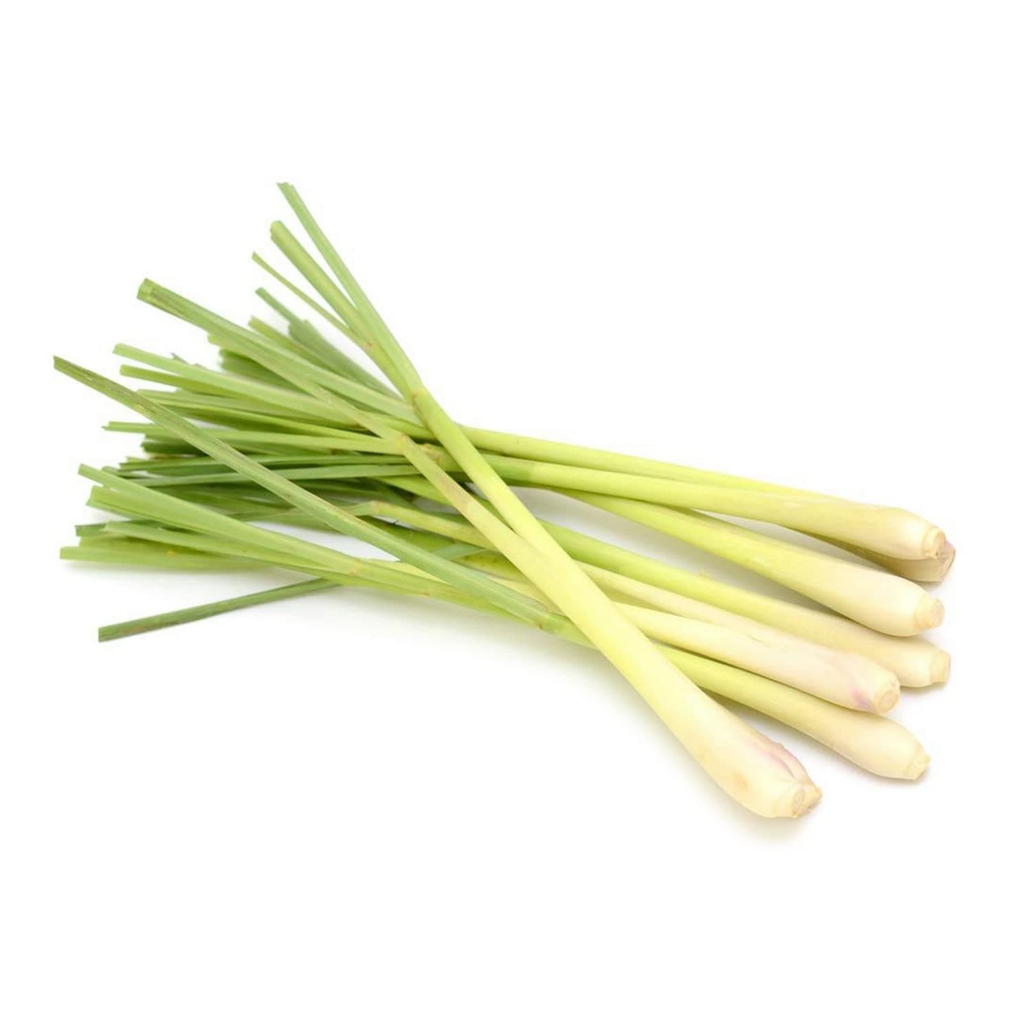 Lemon Grass Thailand 100 g Approx.