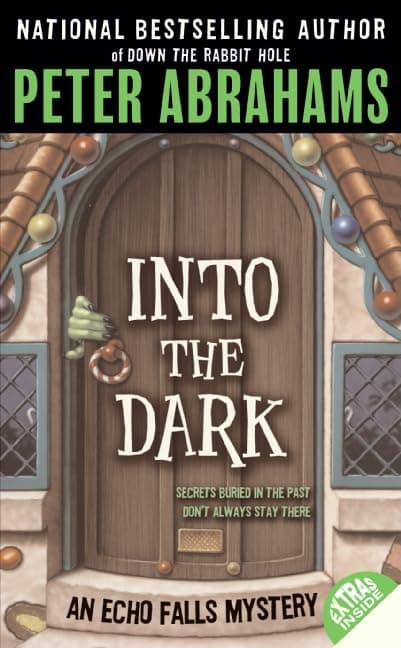 Into the Dark: 3 (Echo Falls Mystery, 3)