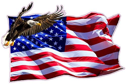 Nostalgia DecalsAmerican Flag Soaring Eagle V2 Rv Trailer Graphics Decal 48" inch