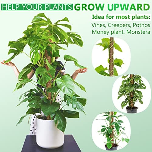 Moss Pole 68 Inch, 6 Pack Plant Moss Pole for Plants Monstera, 15.6 Inch Coir Totem Sticks for Climbing Support Extension Indoor Sticks with 65 Feet Garden Twist Tie