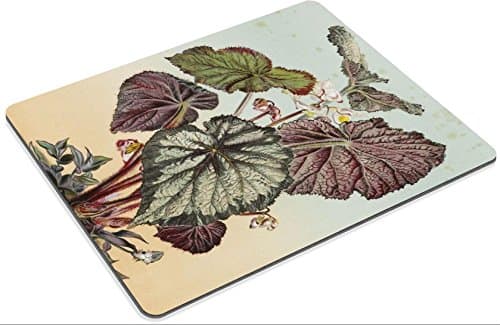MSD Mouse Pad Begonia Rex Var Imperator By Adam Gatternicht Customized Desktop Laptop Gaming Mousepads