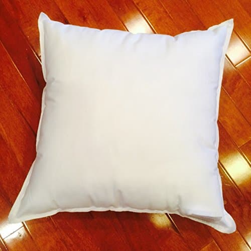 25/75 Down Feather Premium Pillow Form - 20 x 20