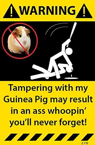 Guinea Pig Warning Stickers Assorted 3 Pack Decal 278-279-280