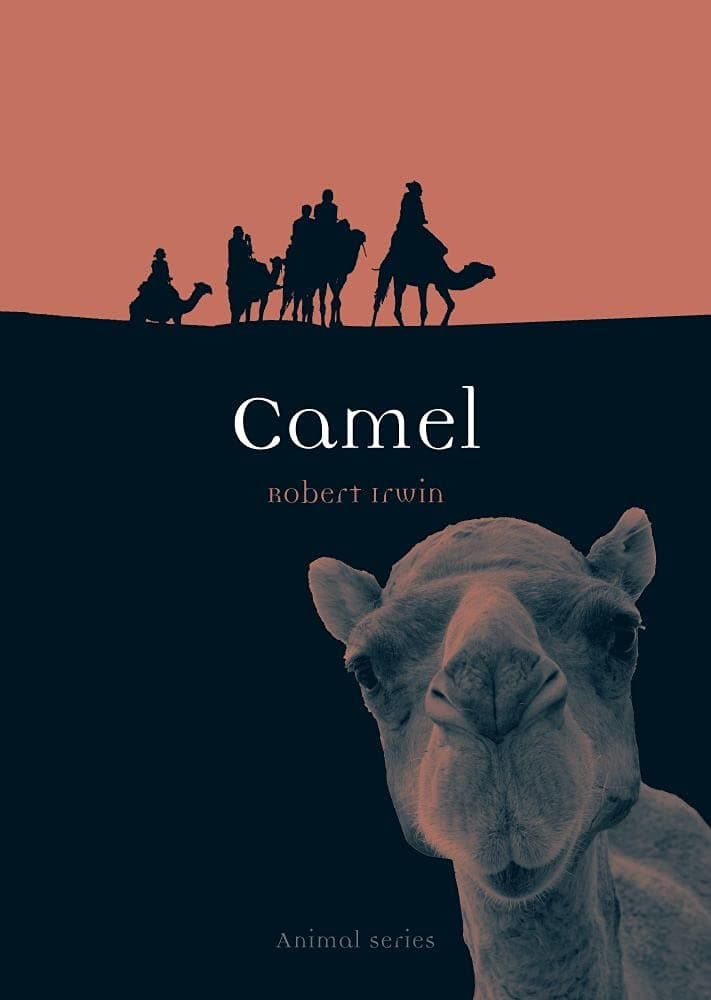 Camel (Animal) Paperback – Illustrated, May 15, 2010