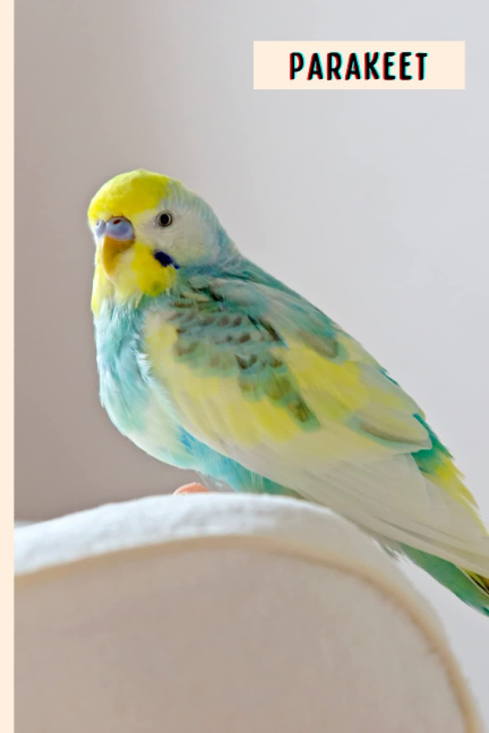 Parakeet: Perfect Parakeet Journal for Memories And Notes , Parakeet Notebook ( 110 Pages, 6x9 )