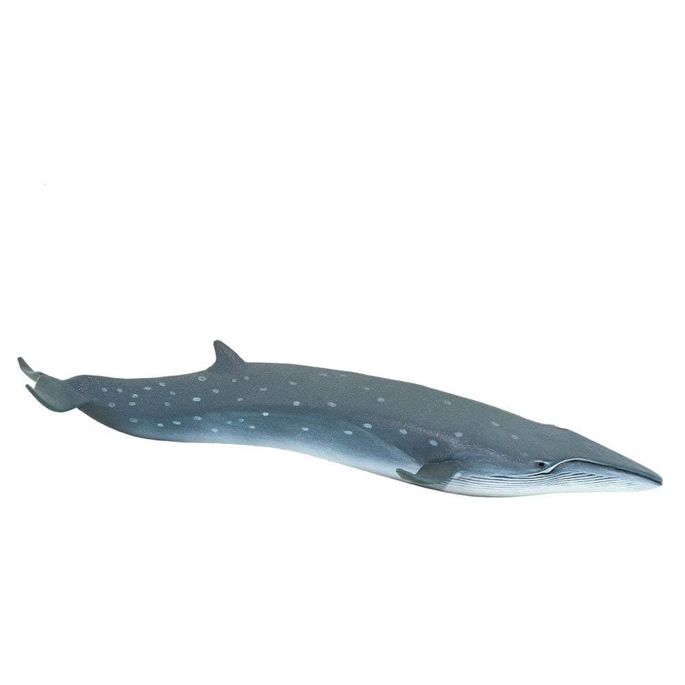 Safari Ltd. Sei Whale Figurine - Realistic 7.75" Plastic Whale Figure - Educational Ocean Animal Toy for Boys, Girls and Kids Ages 3+