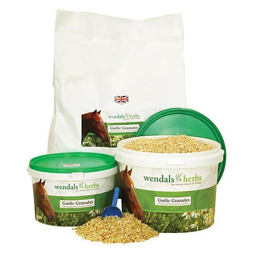 Wendals Herbs Garlic Granules 11 lb