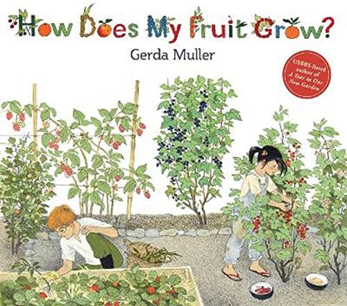 Floris Books How Does My Fruit Grow?