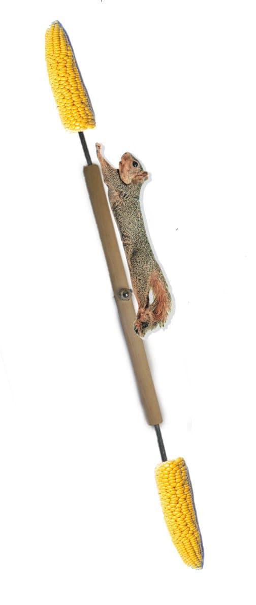 Songbird Essentials Squirrel Spinner