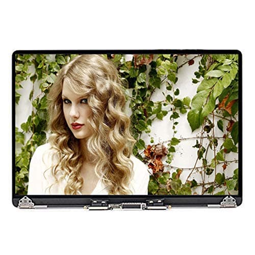 WARWOLFTEAM Replacement for Apple MacBook Pro Retina 15" A1707 2016-17 Late 2016 Mid 2017 EMC 3072 3162 Replacement LCD Screen Assembly 661-06376 (Silver)