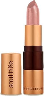 SoulTree Ayurvedic Lipstick - Peachy Mist 540, 4gm | Creamy Texture | Enriched with Organic Ghee & Almond Oil | Moistured & Nourished Lips | 4gm