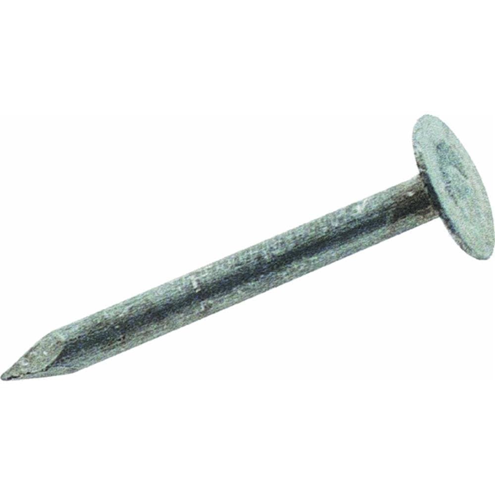 Primesource Contnr B 114EGRFG Galvanized Roofing Nail