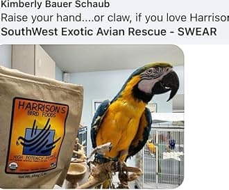 Harrison's Bird Foods High Potency Pepper—Maximum Nutritional Formula for Small to Medium Birds, Certified Organic Non-GMO Pet Bird Food, Vet-Developed, Suitable for All Life Stages, 454 g/ 1 lb