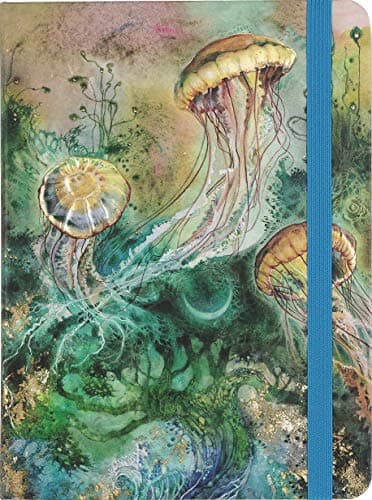 Illuminated Jellyfish Journal Hardcover – 1 Jun. 2018