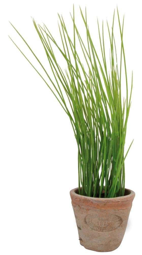 Artificial Herb Plant, Chives, Small