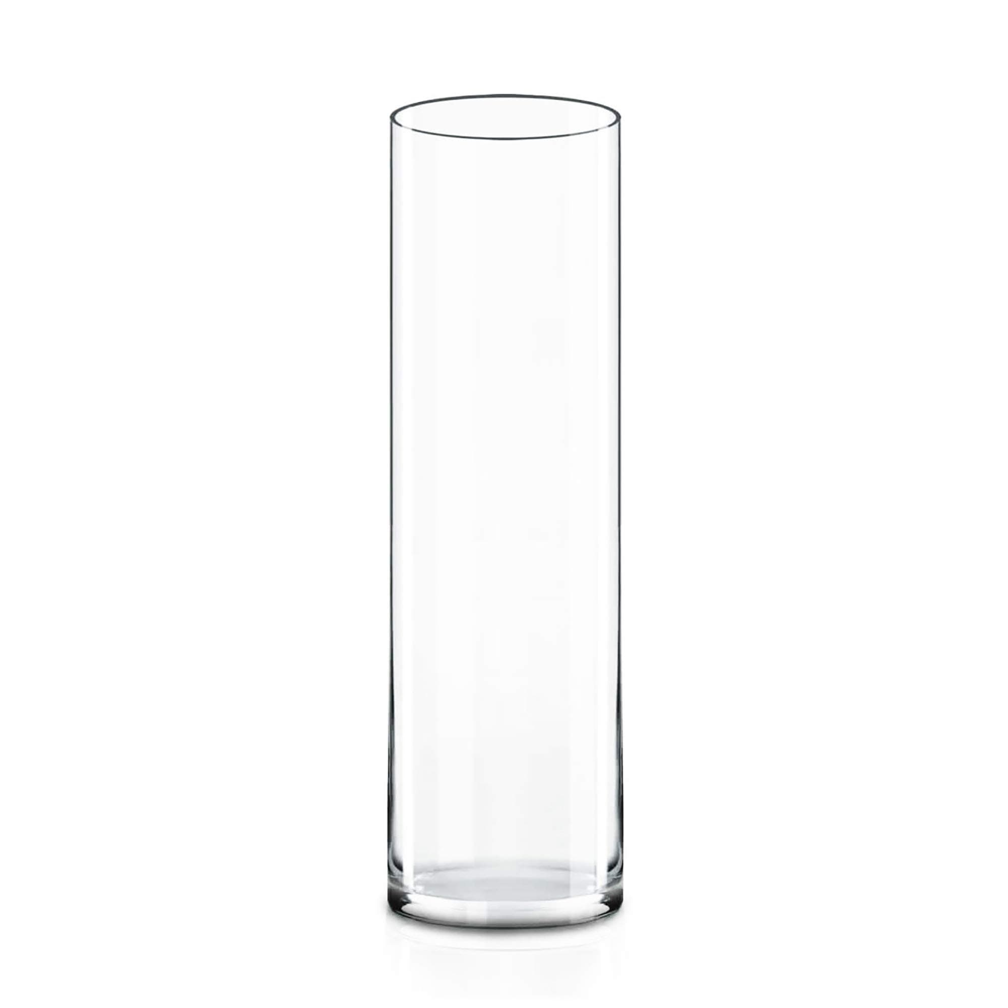 CYS Excel (H:16” D:4”) Tall Clear Glass Cylinder Vase | Multiple Size Choices Glass Flower Vase Centerpieces | Tall Hurricane Floating Candle Holder