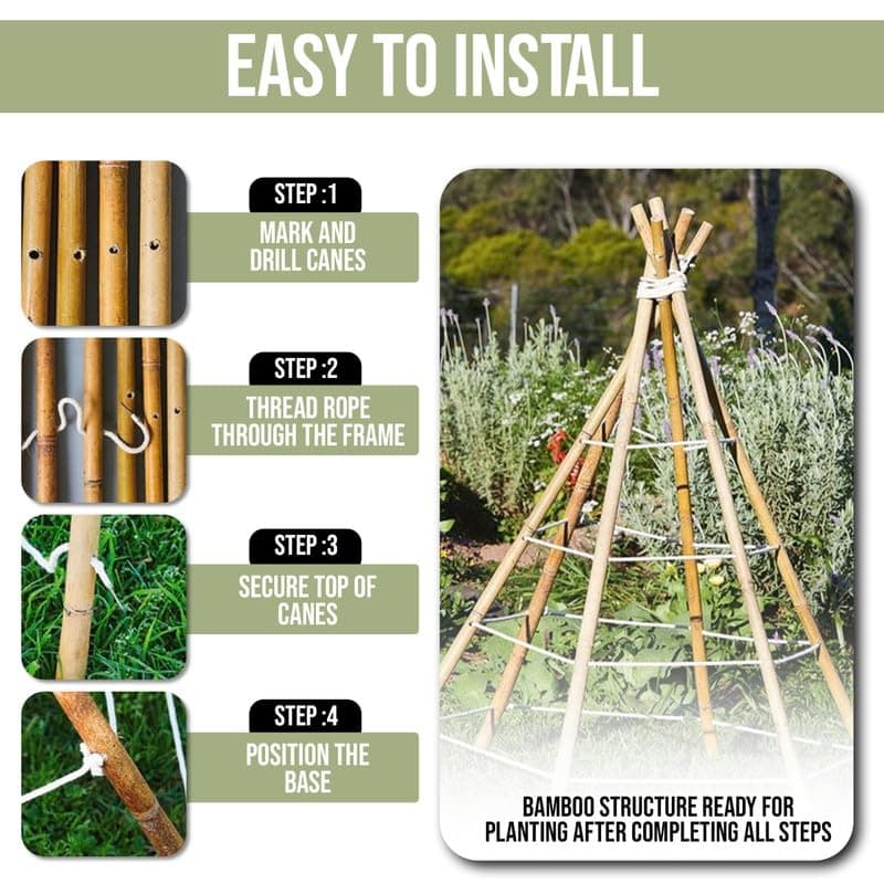 Strong Heavy Duty Professional Bamboo Canes for Plant Support - Multiple Lengths 2ft - 8ft Garden Stakes, Durable Large Garden Canes Sturdy & Natural Bamboo Sticks for Plants Size (2ft, 20, 10-12mm)