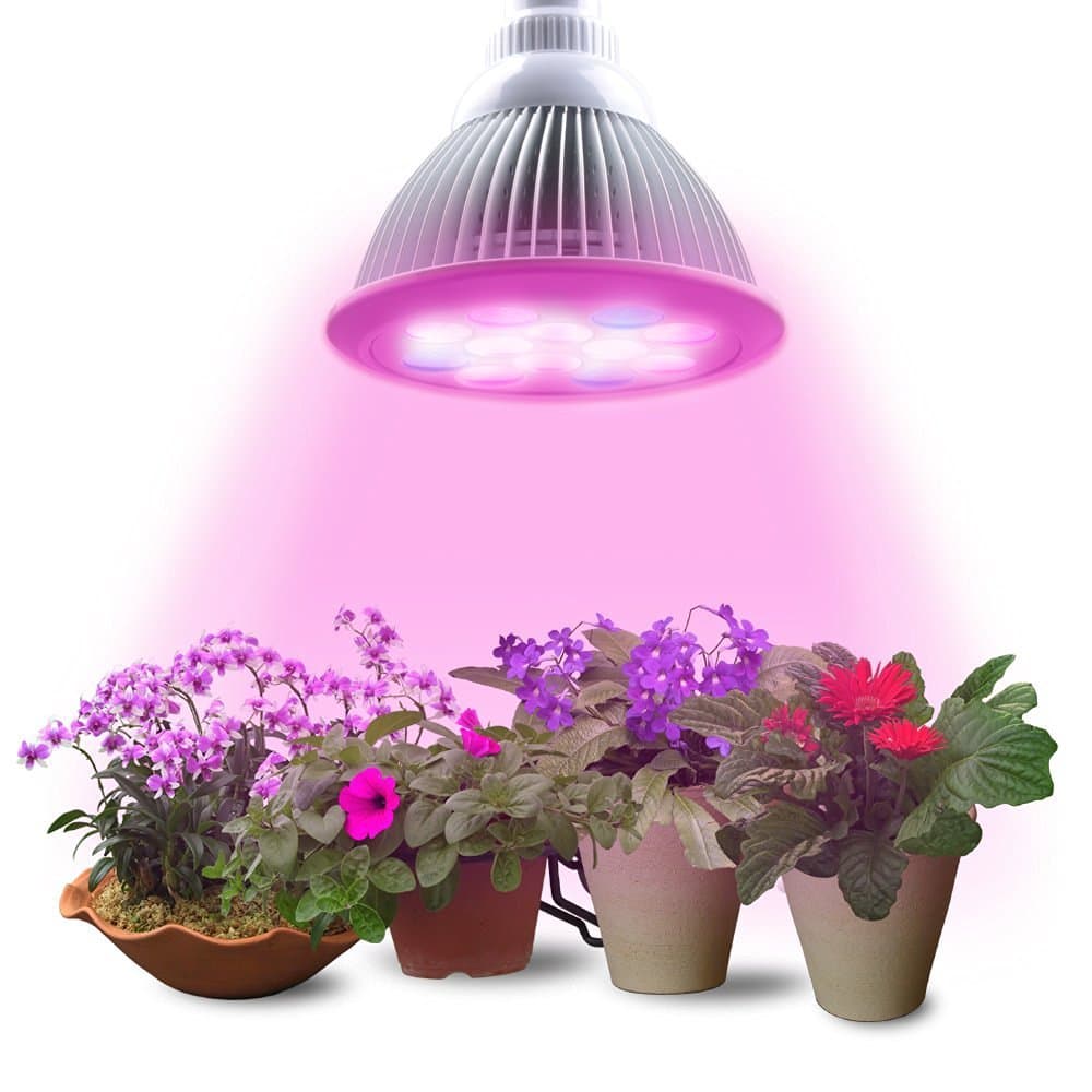 LED Plant Grow Light Bulb, Lumin Tekco 24W E27(3 Blue LED & 9 Red LED) Hydroponic Lamp for Indoor Garden Flower Plants Growth Vegetable Greenhouse