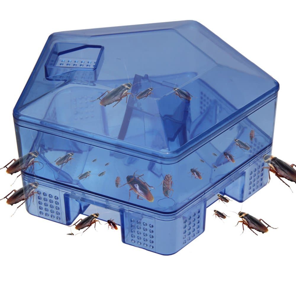 Brezzycloud Cockroach Trap Box Catcher Pest Killer Bait- No Pollution for Home, Official use, Kitchen