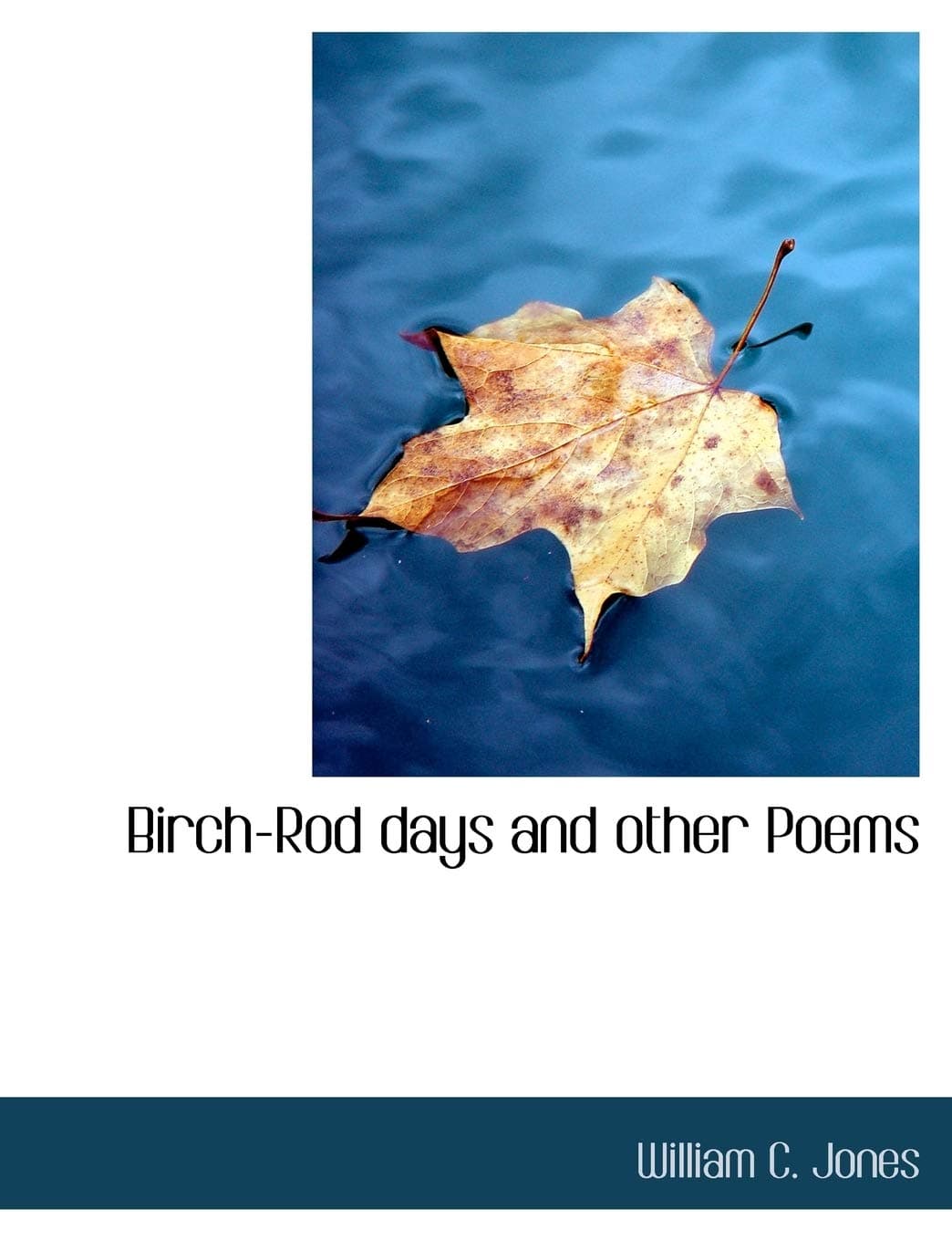Birch-Rod Days and Other Poems