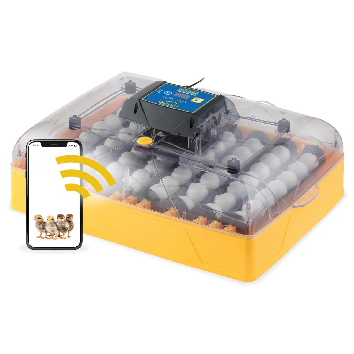 Ovation 56 EX Connect App Controlled Egg Incubator with Automatic Egg Turning and Humidity Control for Hatching 56 Chicken, Duck, Other Eggs, Precision App-Driven Digital Controls and Alarms