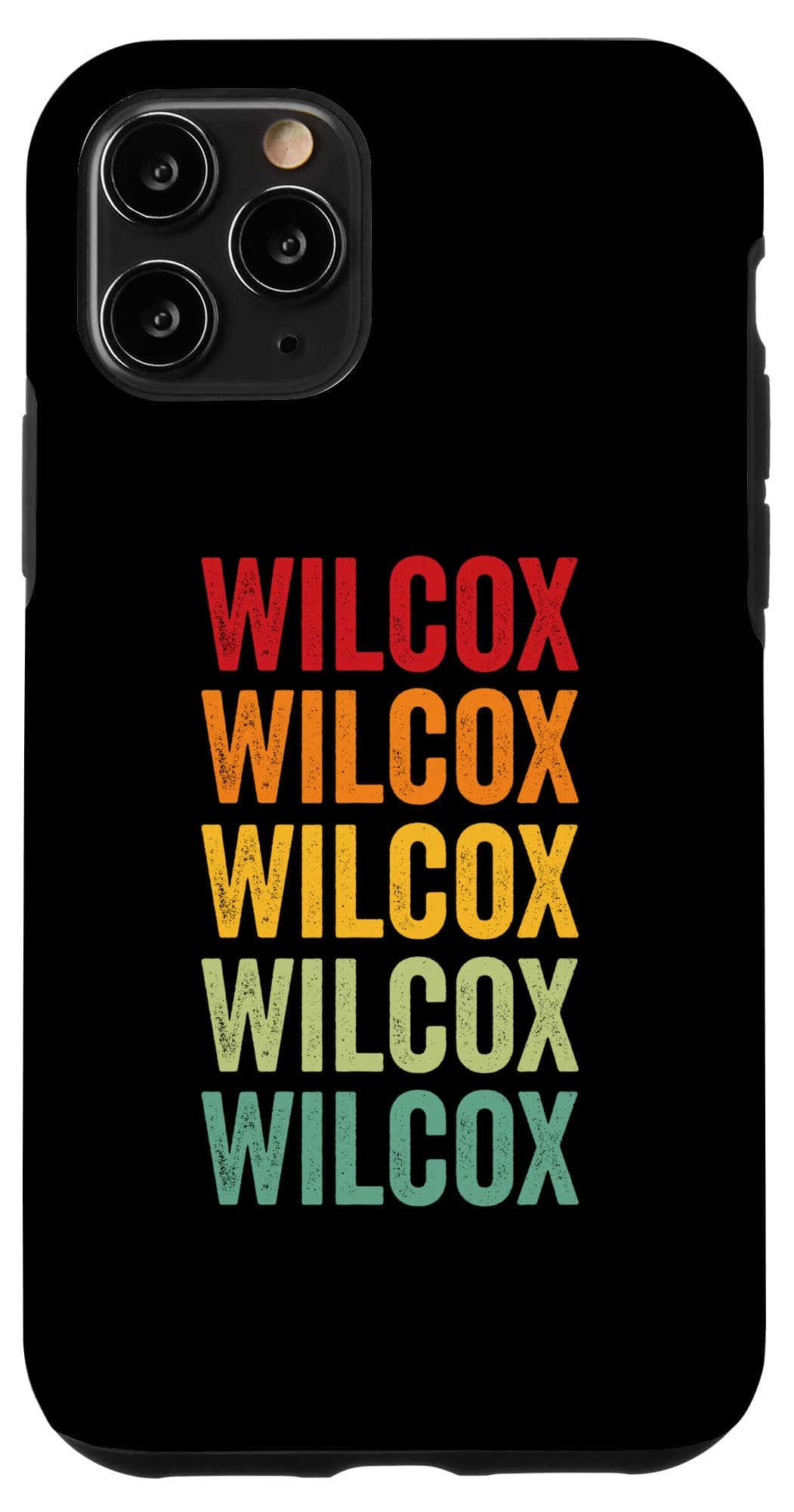iPhone 11 Pro Wilcox County, Alabama, Rainbow Text Design Case