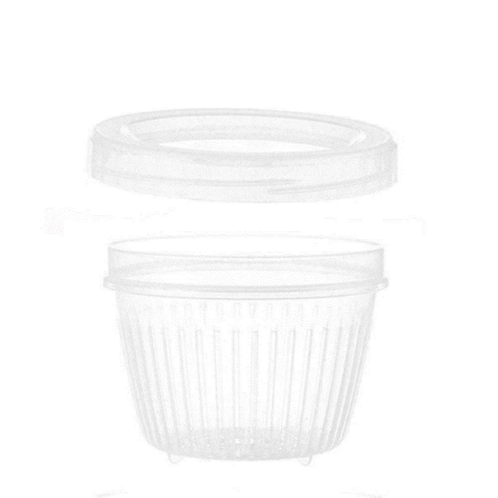 CJSWT Kitchen Food Storage Container, Sealed Storage Box for Refrigerator Drain Polypropylene Material, Used for Garlic Green Onion Ginger Green 500 Ml