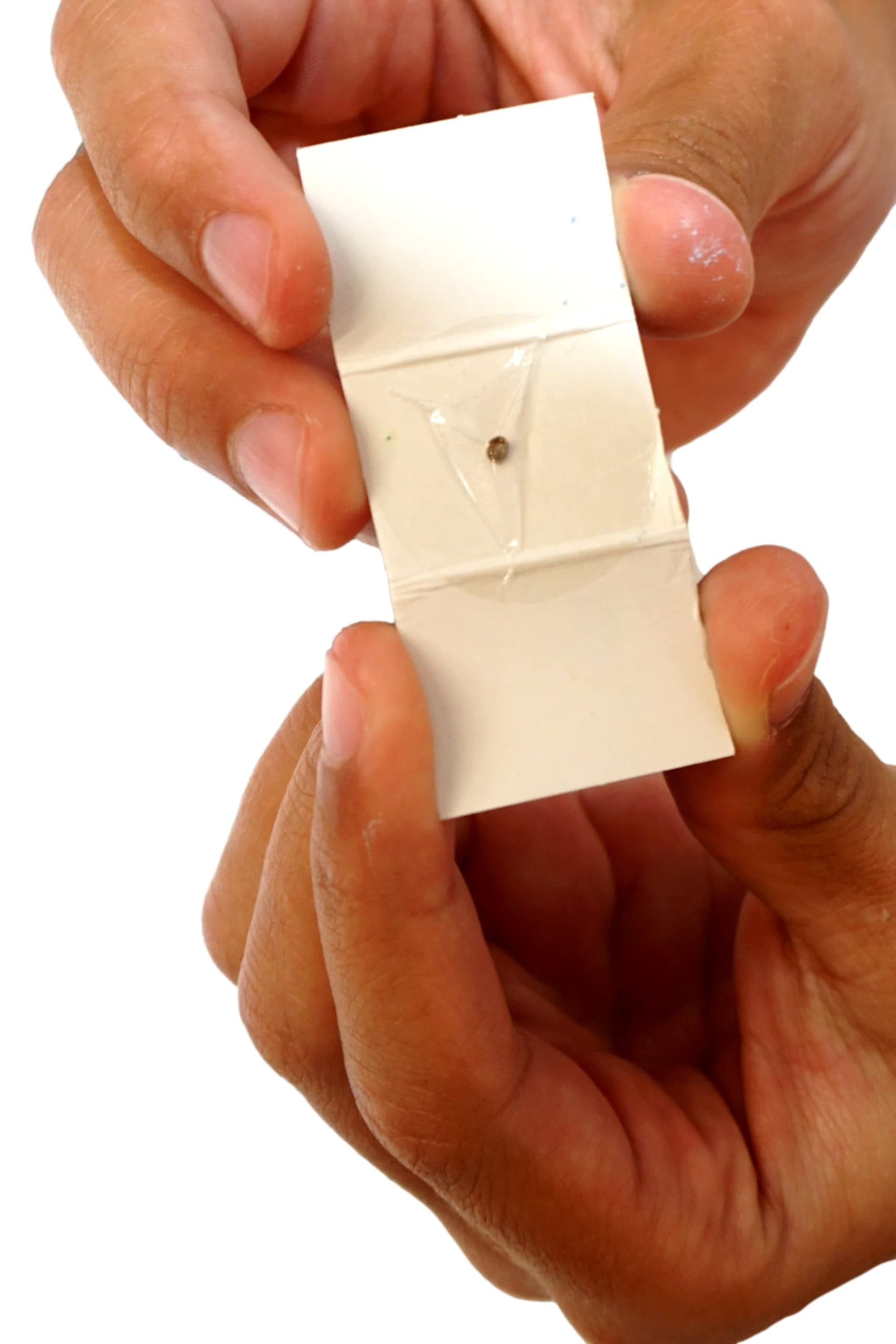 JA-RU Real Diamond Mine Gemstone Dig Kit (12 Packs) Mystery Rock, Minerals, and Gems for Kids | Break Your Own Geodes and a Chance to Get 1 Real Diamond | Party Favors for Kids Goodie Bags. 4630-12