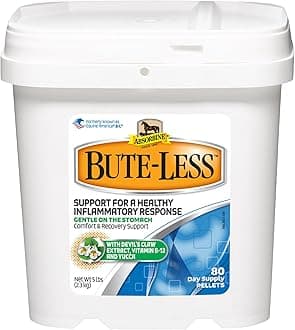 Bute-Less Comfort & Recovery Support Supplement
