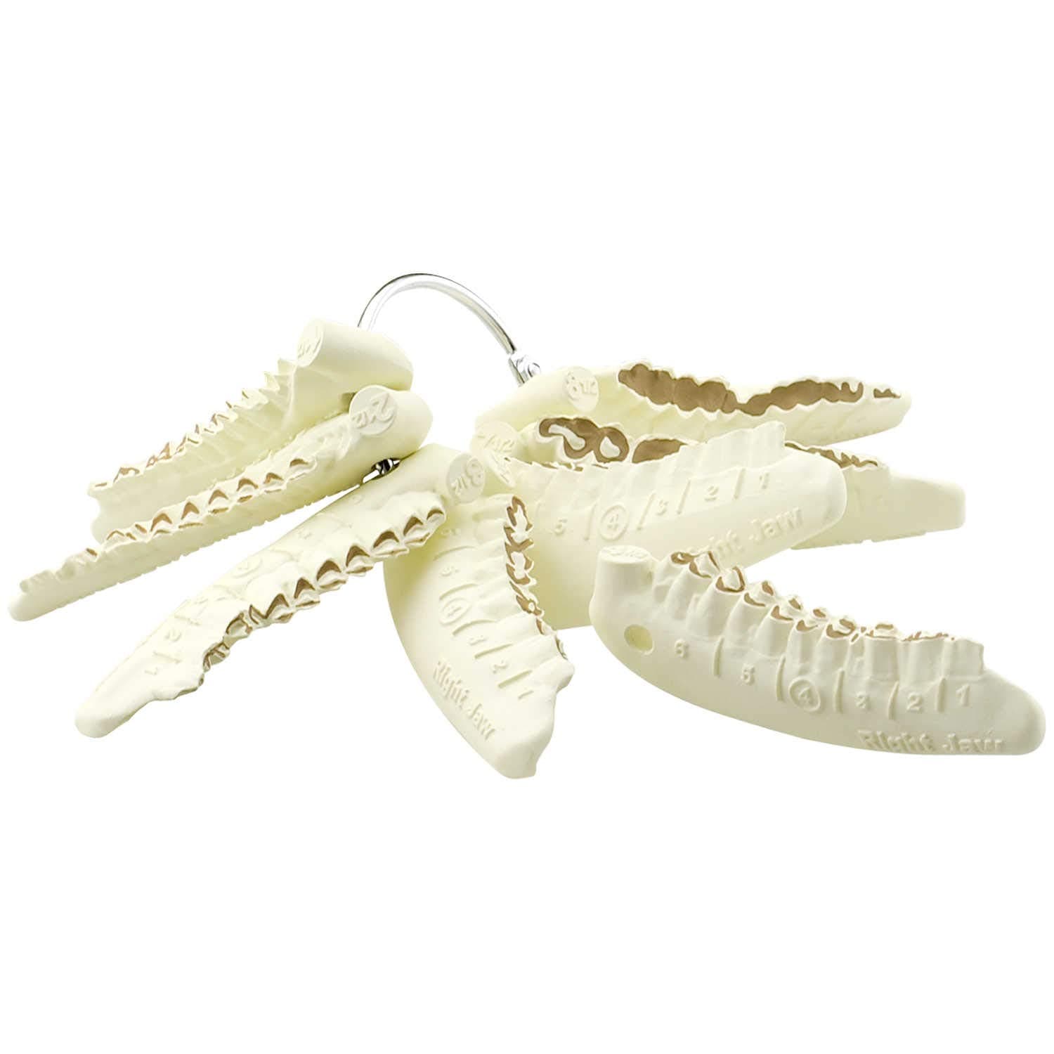 Hot Shot Manufacturing Cajun Deer Aging Tool