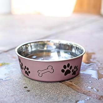 Loving Pets Metallic Bella Bowl Dog Bowl, Extra Large, Grape by Loving Pets