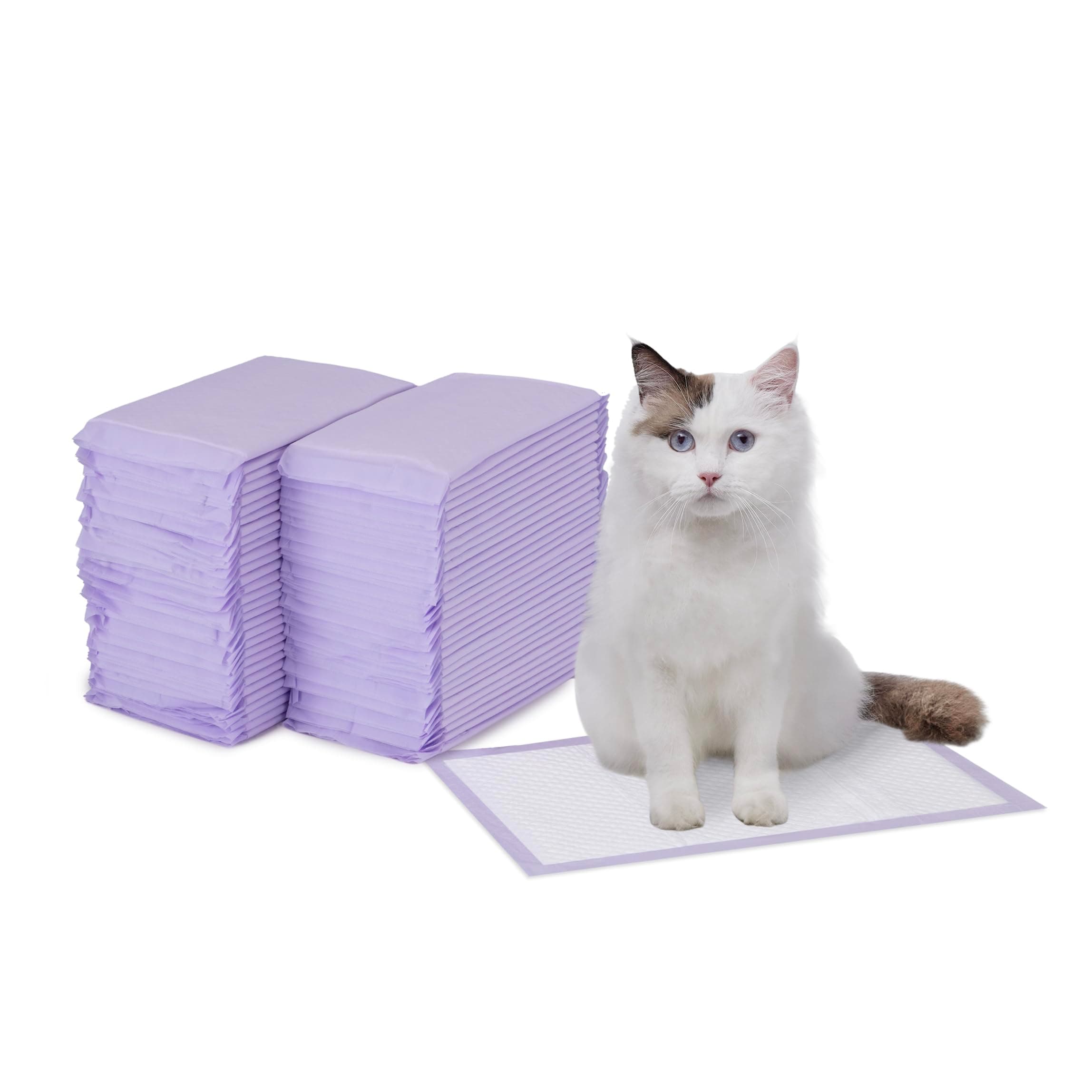 Amazon Basics Cat Pee Pads, Odor Control, Super Absorbent, Disposable, Universal Fit for Litter Box, Unscented, Multi Cat, White/Purple, 60 Count