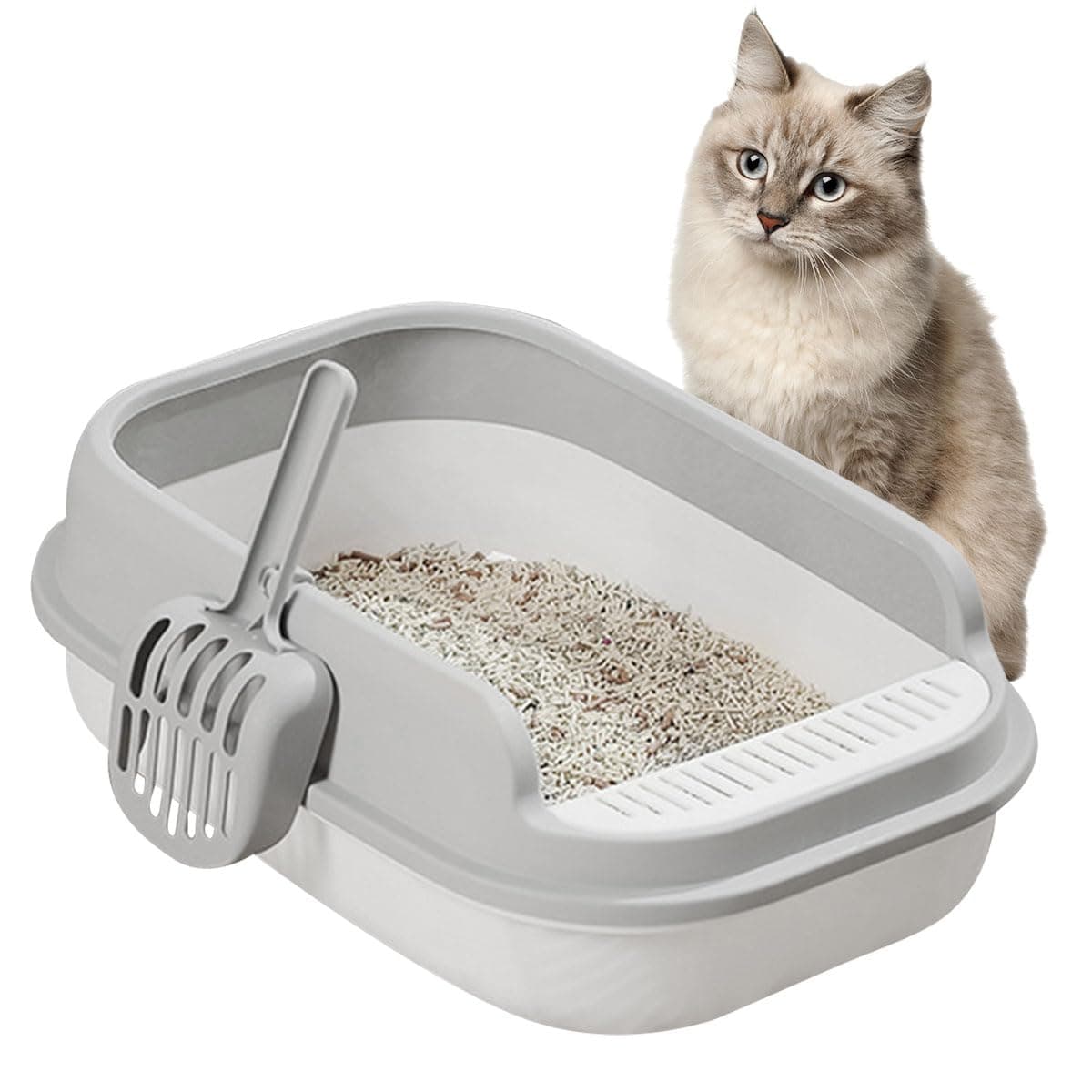 ECVV® Open Design & Oversized Cat Litter Box-50.5(L) x 35.5(W) x 17(H) cm - Excellent PP Material with Filtered Litter Pedal for Easy Cleaning & Odor Control