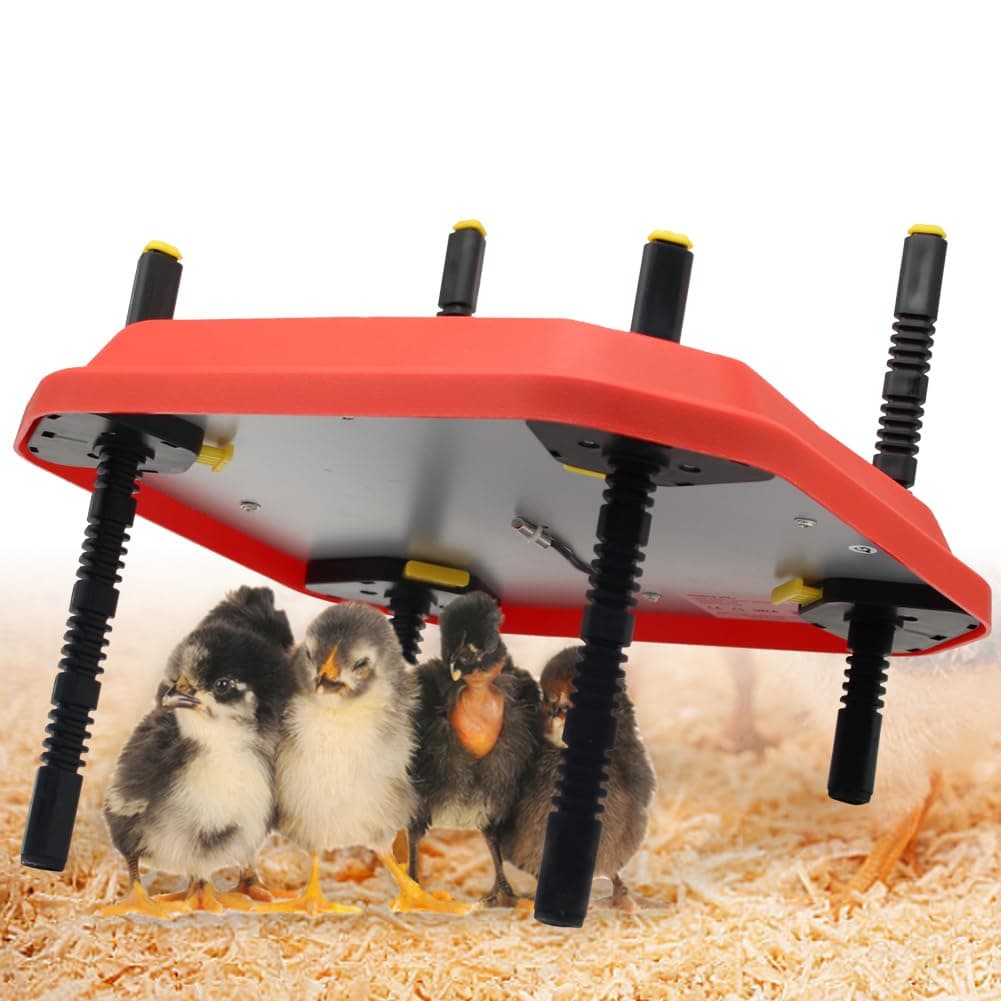 Chick Brooder Poultry Breeding Heating Plate for upto 20 with Thermostat, Chicken Coop Warm-keeping Kit (12" x 12")