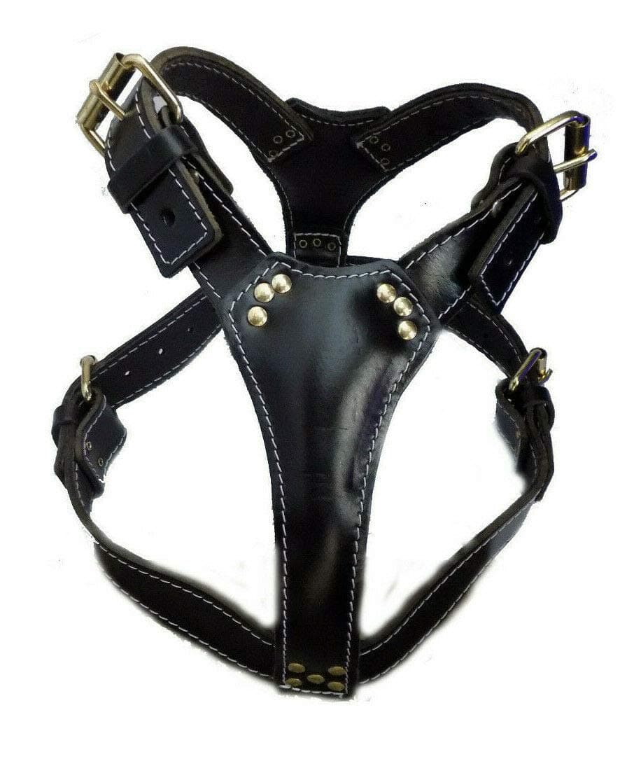 M&D Beautiful Black Plain Leather Dog Harness Large Size fits the Bullterrier type of dogs