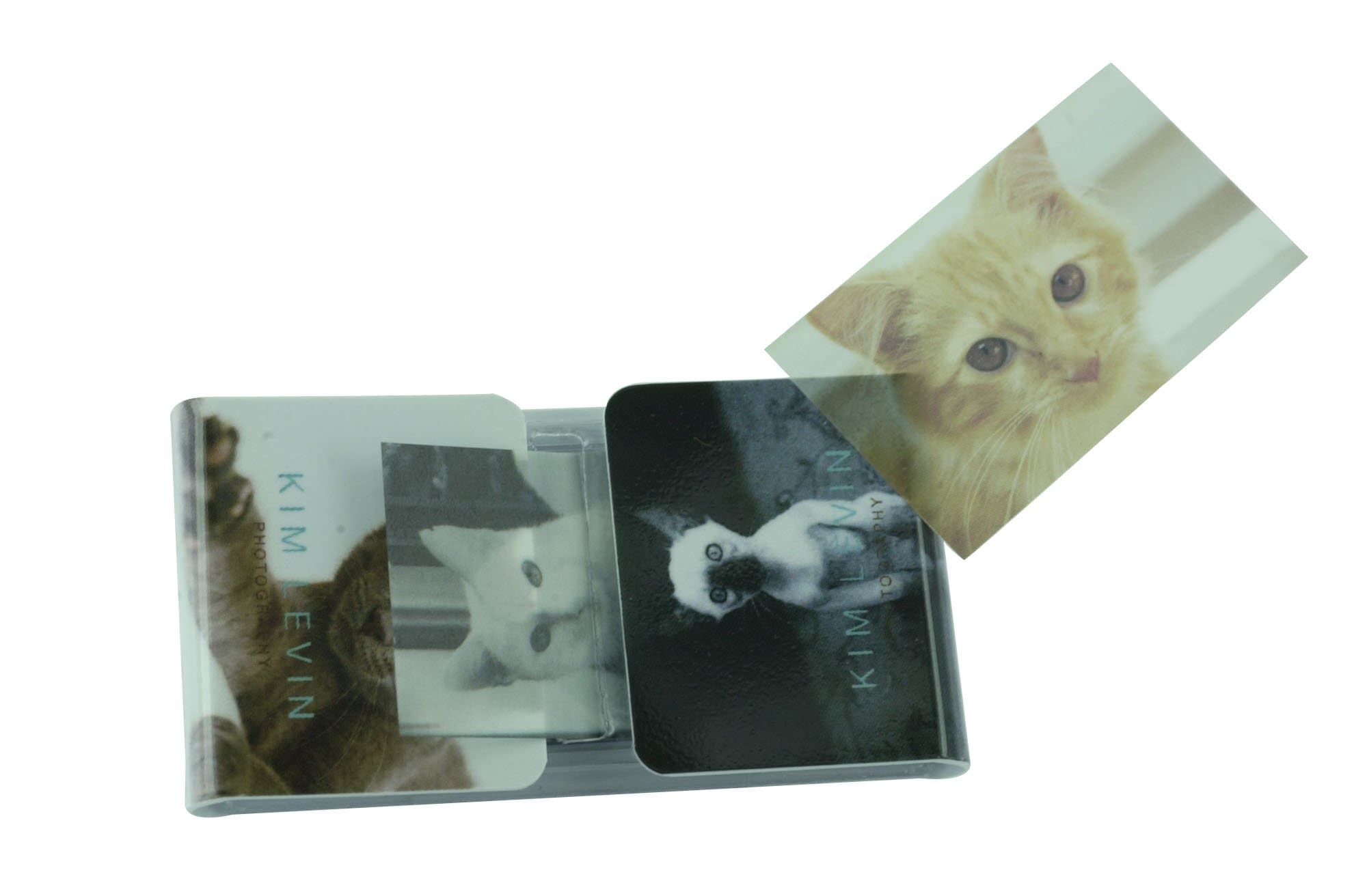 Got Yo Gifts Kim Levin Cats Fun Flags