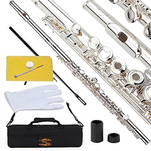 Glory Silver Plated Intermediate 16 Keys Open/Closed Hole C Flute