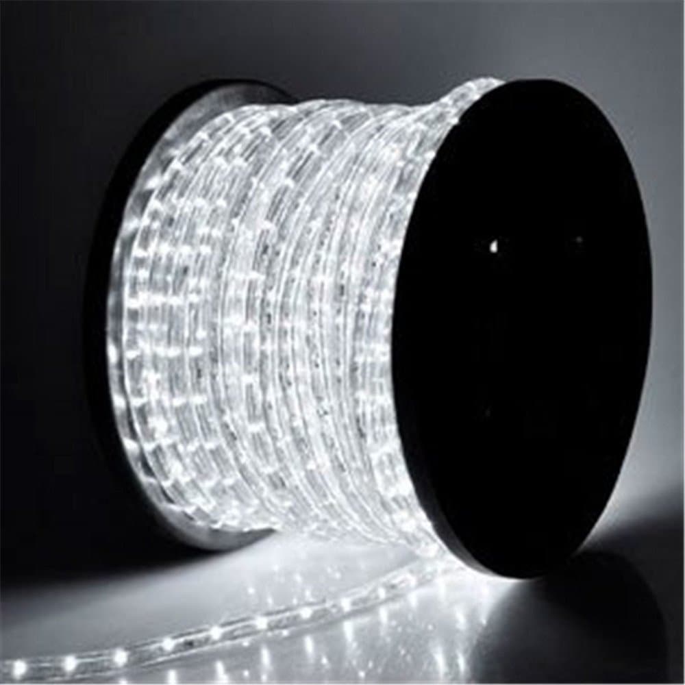 PYSICAL 110V 2-Wire Waterproof LED Rope Light Kit for Background Lighting,Decorative Lighting,Outdoor Decorative Lighting,Christmas Lighting,Trees,Bridges and Eaves (White, 100ft)