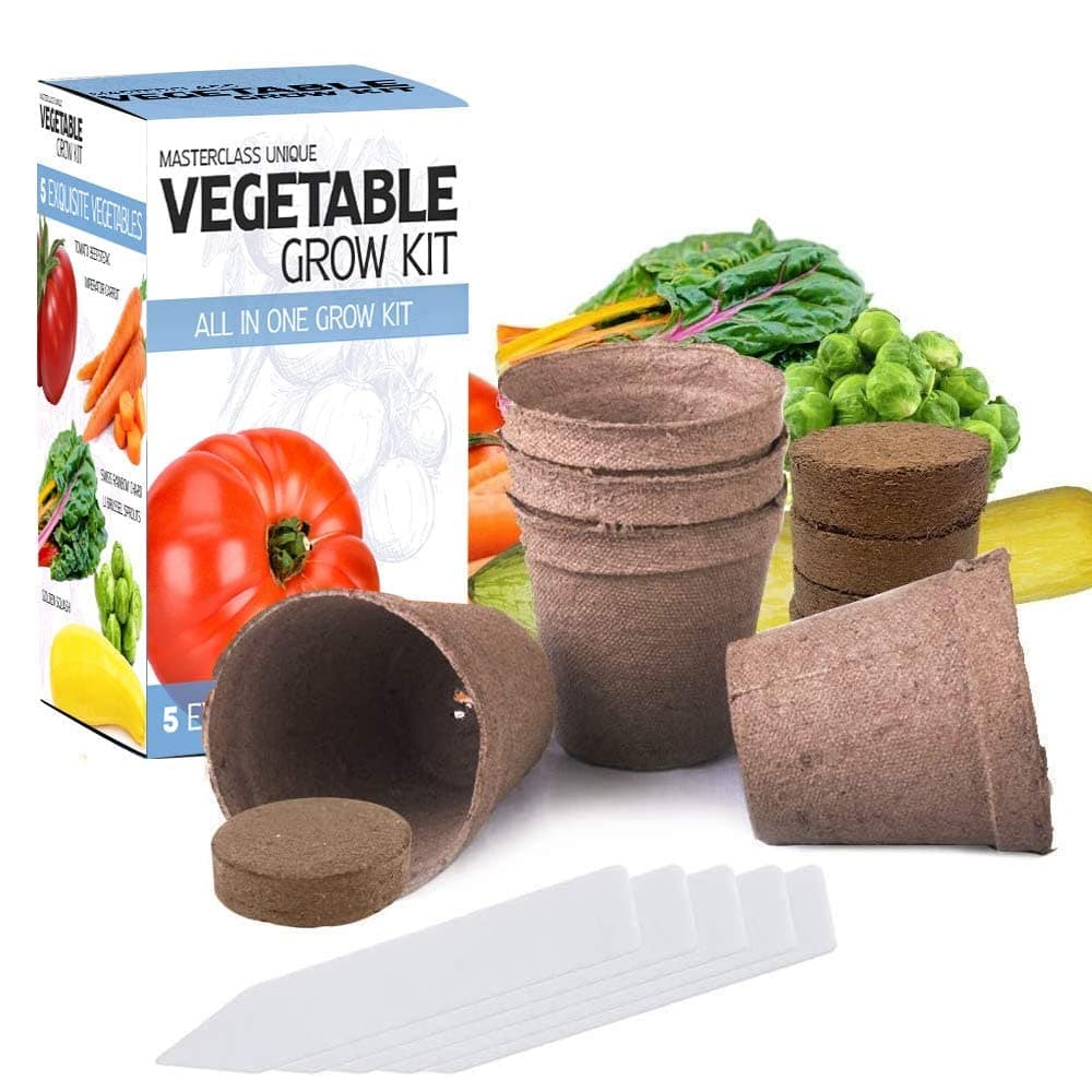 Masterclass Vegetable Grow Kit - 5 Extraordinary Vegetables Garden Starter Kit - Growing in one Box - Vegetable Seed Kit for Planting - Indoor & Outdoor Use