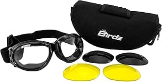 Eagle Interchangeable Kit Motorcycle Biker Goggles Comes with 3 Lenses and a Case