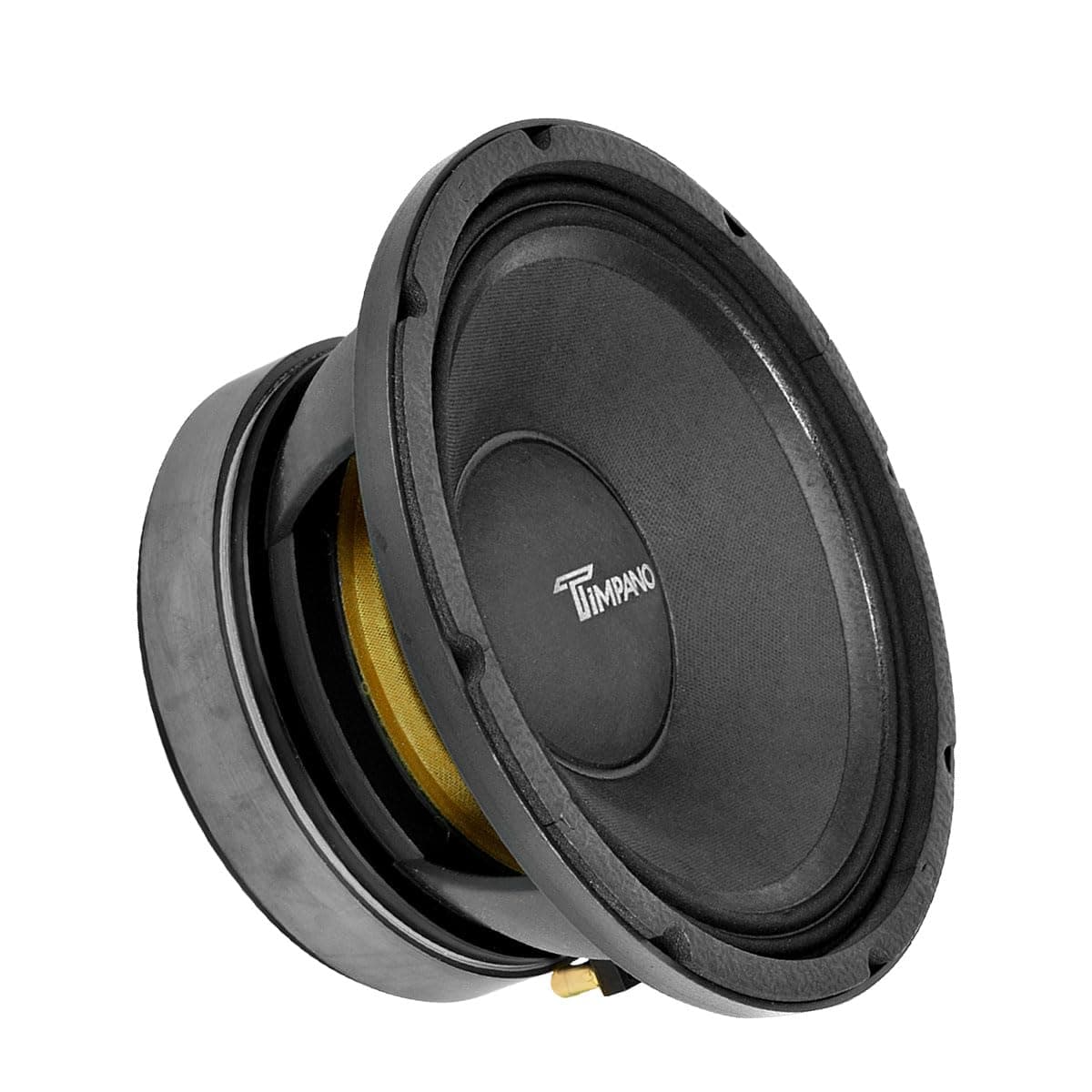TPT-MD10 PRO 10" Midrange Speaker, 1000 Watts, 8 Ohm Loudspeaker 10 Inch Mid Range for Pro Car Audio (Single)